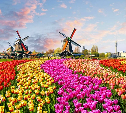 Netherlands Coach Hire